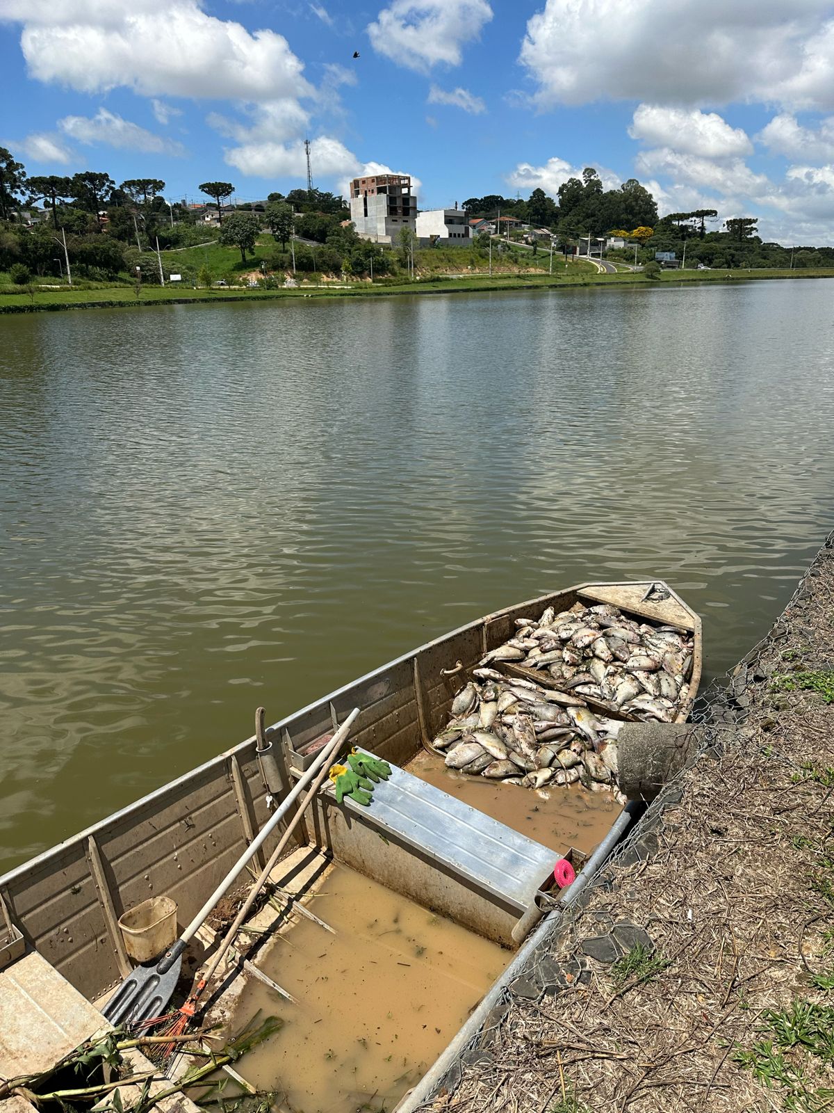 Câmara convoca secretário para prestar esclarecimentos sobre o Lago de Olarias